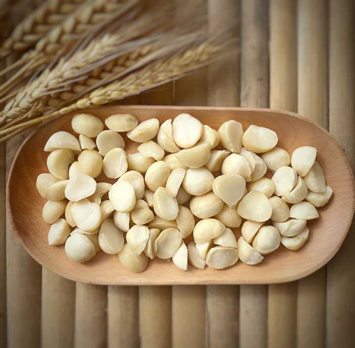 MACADAMIA KERNEL