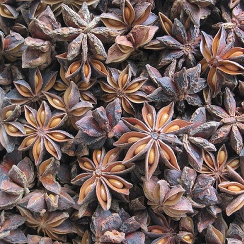 AUTUMN STAR ANISEED