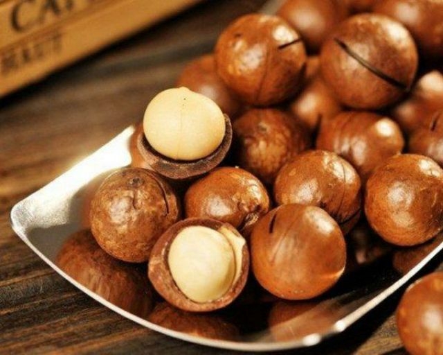 MACADAMIA NUT INSHELL