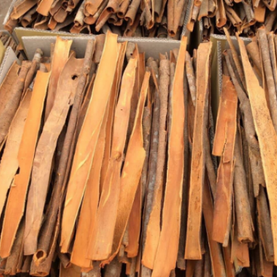 SPLIT CASSIA