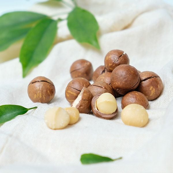 Macadamia