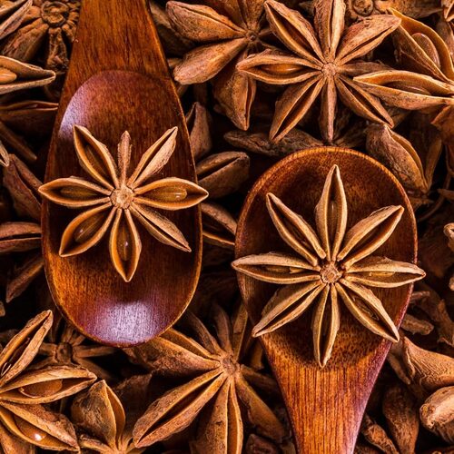 Star aniseed